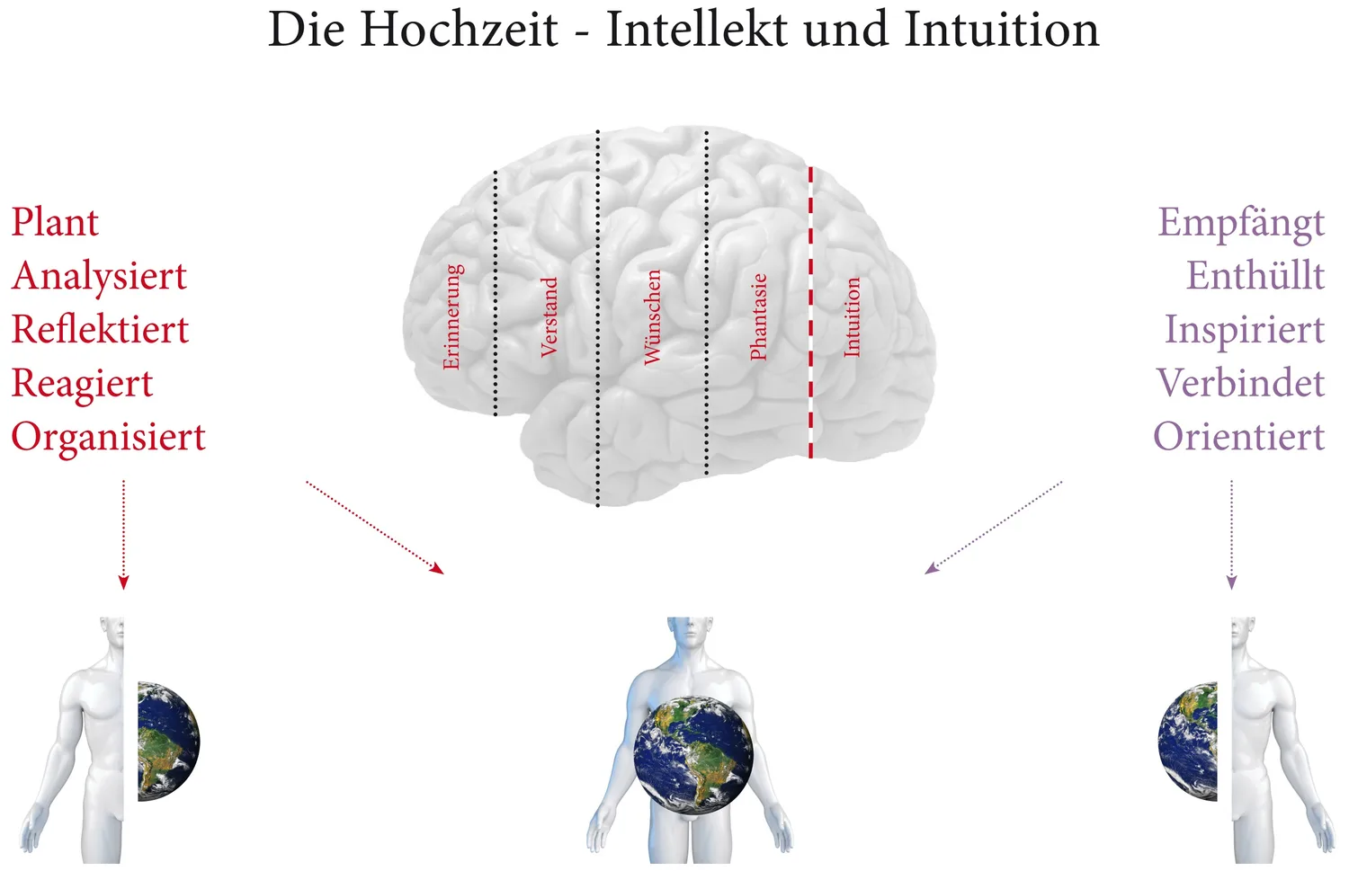 Coaching am Holistischen Institut